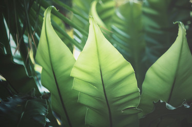 Similar image 9008051