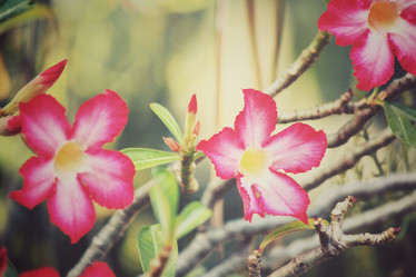 Similar image 9008101