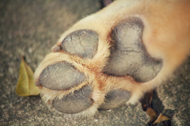 Similar image 9008103