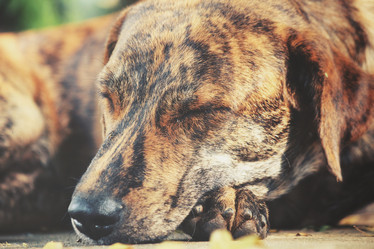 Similar image 9008105