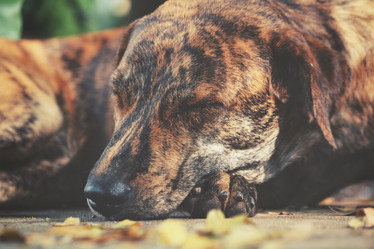 Similar image 9008107