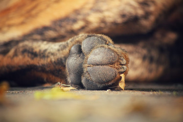 Similar image 9008110