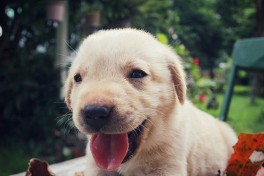 Similar image 9008118