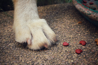 Similar image 9008126