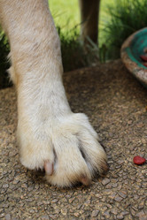 Similar image 9008127