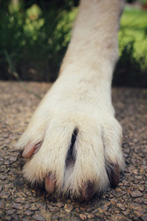 Similar image 9008132