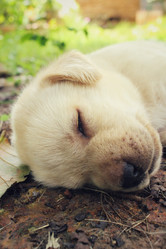 Similar image 9008135