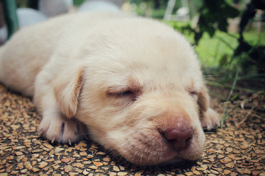 Similar image 9008140