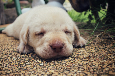 Similar image 9008157