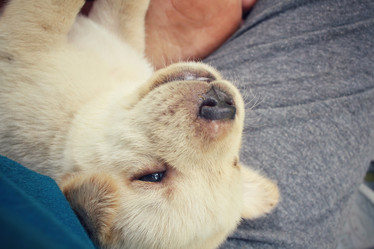 Similar image 9008159