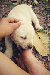 Similar image 9008162