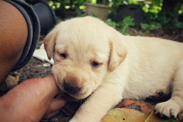 Similar image 9008166