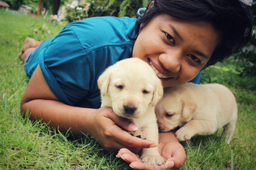 Similar image 9008169