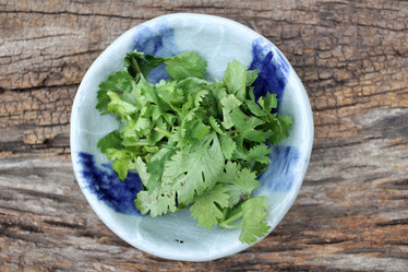 Similar image 9008202