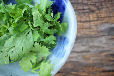 Similar image 9008204