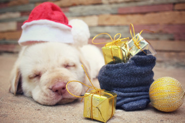 Similar image 9008248