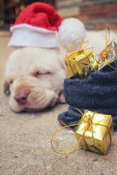 Similar image 9008253