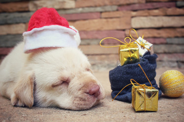 Similar image 9008255