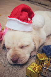 Similar image 9008264