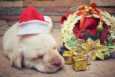 Similar image 9008267