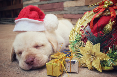 Similar image 9008269