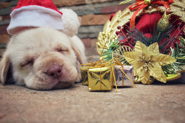 Similar image 9008271