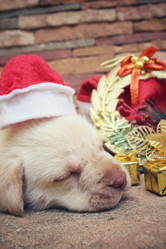 Similar image 9008273