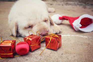 Similar image 9008280