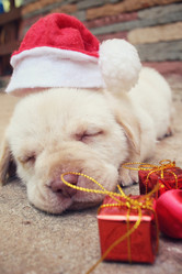 Similar image 9008615