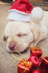 Similar image 9008617