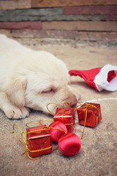 Similar image 9008619