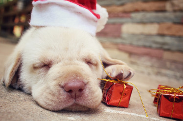 Similar image 9008624