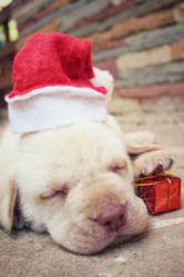 Similar image 9008626