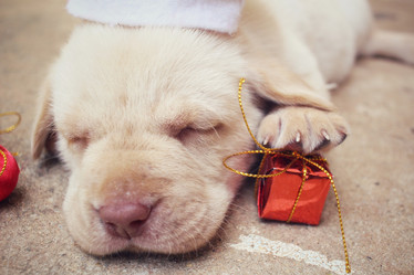 Similar image 9008629