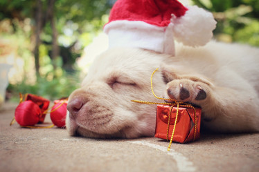 Similar image 9008631