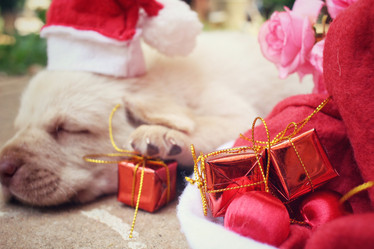 Similar image 9008634