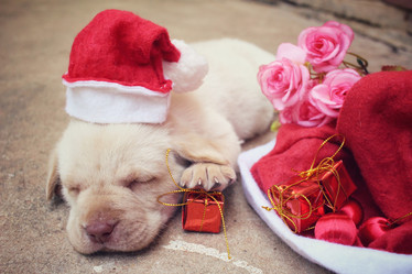 Similar image 9008637