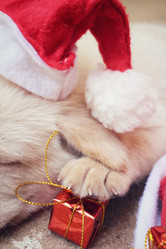 Similar image 9008639