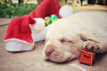 Similar image 9008642