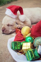 Similar image 9008644