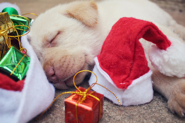 Similar image 9008647