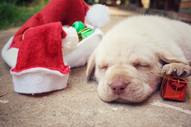 Similar image 9008654