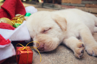 Similar image 9008656