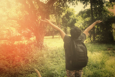 Similar image 9008709