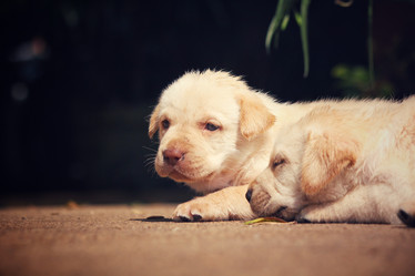 Similar image 9008718