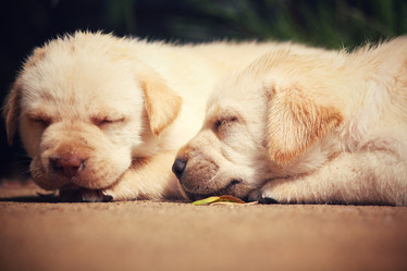 Similar image 9008725