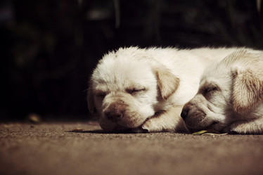 Similar image 9008727