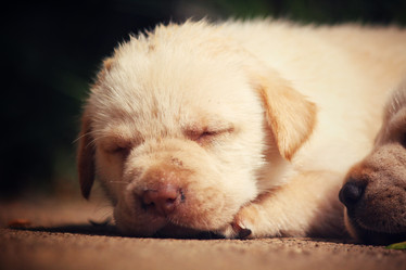 Similar image 9008729