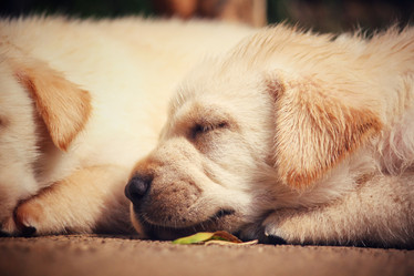 Similar image 9008731