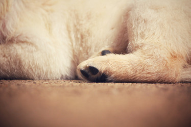 Similar image 9008734